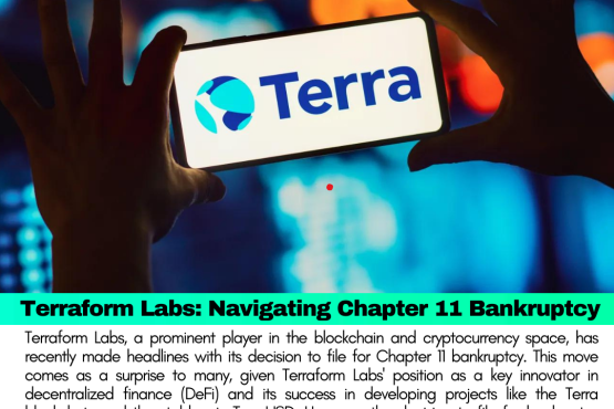 Terraform Labs: Navigating Chapter 11 Bankruptcy