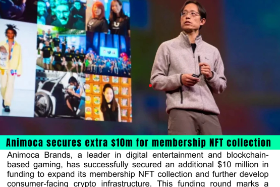 Animoca Secures Additional $10 Million for Membership NFT Collection and Consumer Crypto Infrastructure