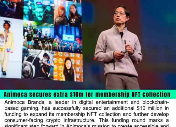 Animoca Secures Additional $10 Million for Membership NFT Collection and Consumer Crypto Infrastructure