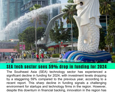 SEA Tech Sector Faces 59% Drop in Funding for 2024, Yet Innovation Remains Strong