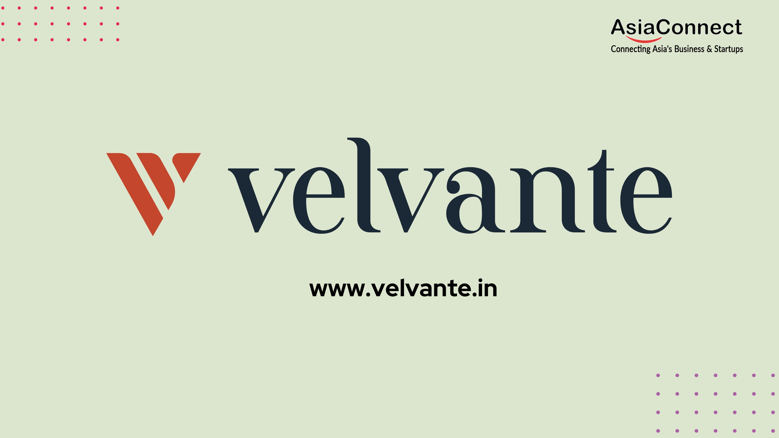 Velvante: A Journey of Passion, Perseverance, and Innovation